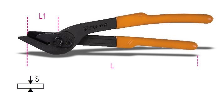 1118  CESOIE DI SICUREZZA PER REGGIA