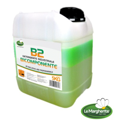 DETERGENTE INDUSTRIALE B2 TANICA KG 5
